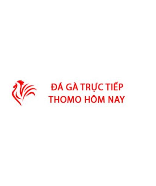 avatar Đá Gà Trực Tiếp Thomo Hôm Nay