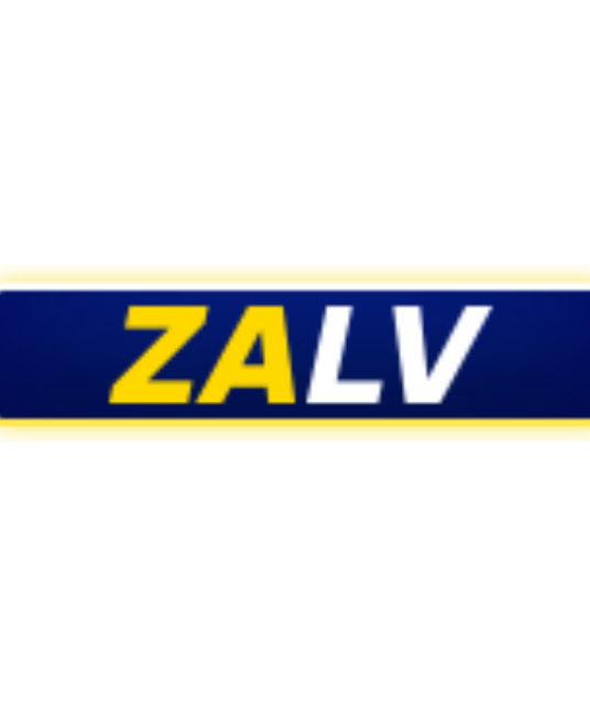 avatar ZALV homes