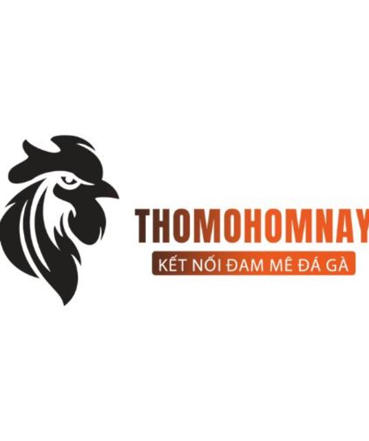 avatar Đá Gà Thomo Hôm Nay