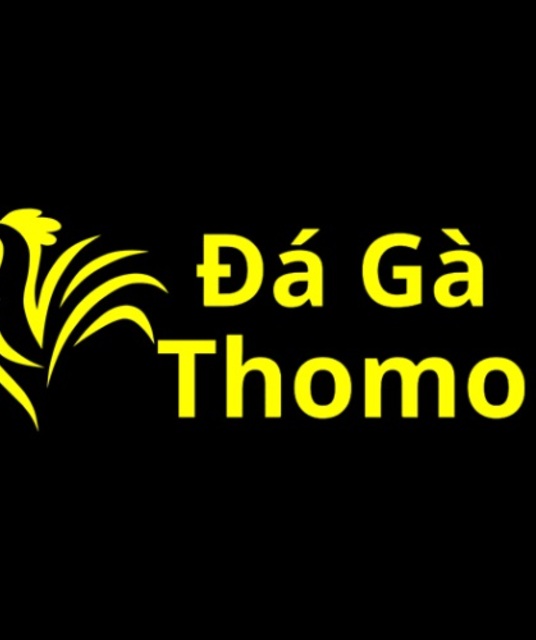 avatar Đá Gà Thomo Trực Tiếp